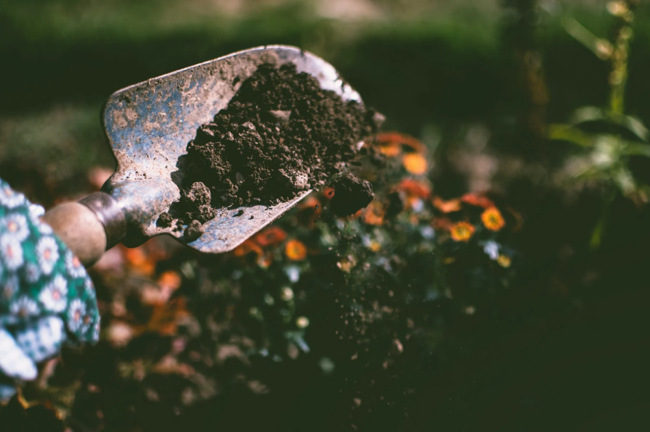 soil